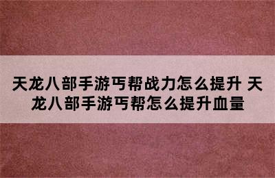 天龙八部手游丐帮战力怎么提升 天龙八部手游丐帮怎么提升血量